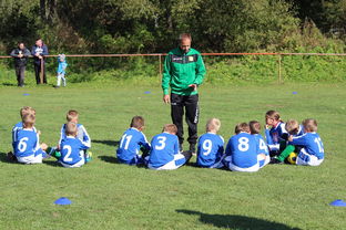 开运app官网-意甲攻守大比拼：速度与战术的融合！，意甲战术强在哪里